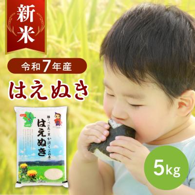 ふるさと納税 河北町 [令和7年産米]2025年11月下旬発送 はえぬき5kg 山形県産 [JAさがえ西村山]