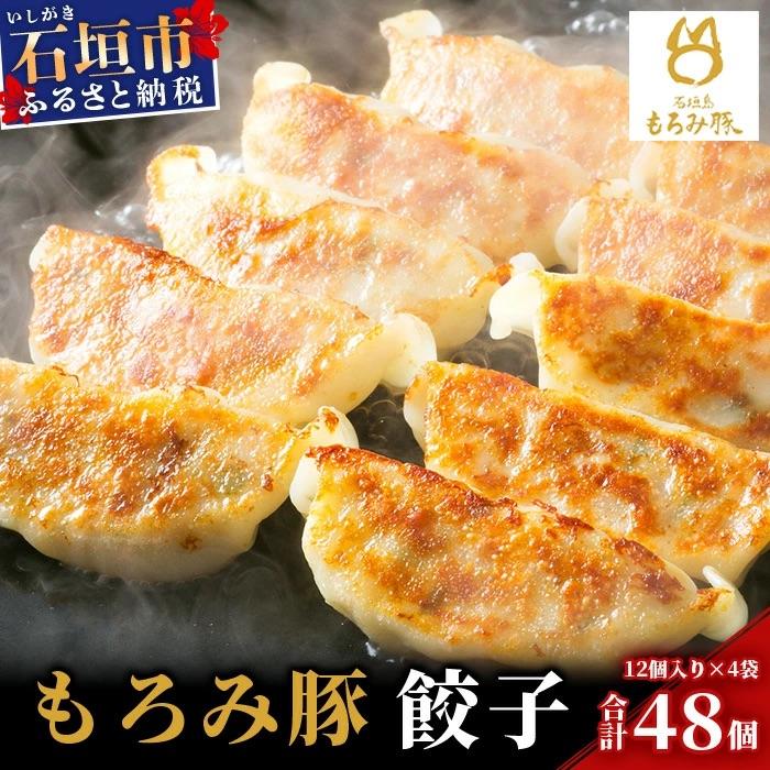 ふるさと納税 石垣市 [石垣島ブランド豚]もろみ豚 特製 餃子 4パック[合計48個][もろみで育てる自慢の豚肉]