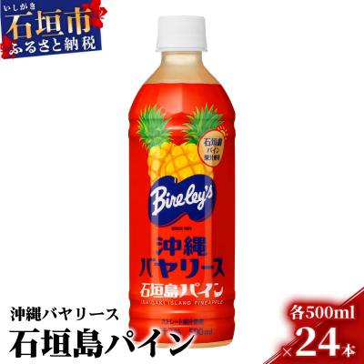 ふるさと納税 石垣市 沖縄バヤリース 石垣島パイン 500ml×24本入 AO-3