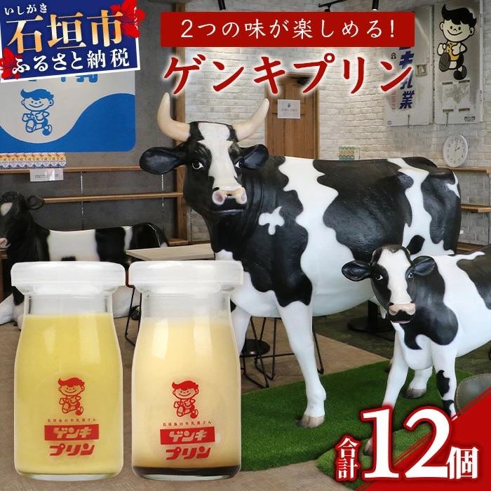 ふるさと納税 石垣市 [島外不出のゲンキくん製品が返礼品に!!]ゲンキプリン 12個(プレーン6個、マンゴー6個)