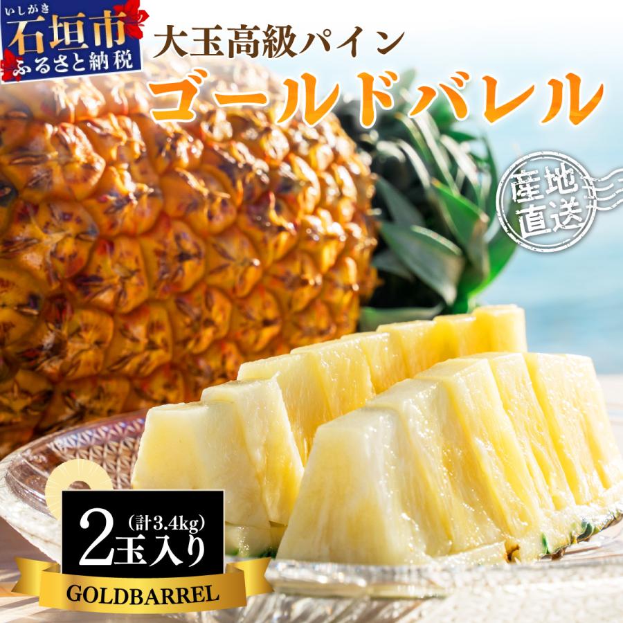 ふるさと納税 石垣市 [先行受付]石垣島産 ゴールドバレルパイン 大玉2個入り 約3.4kg <2026年7月以降発送>