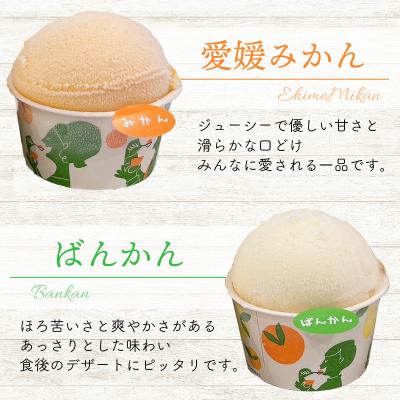 ふるさと納税 愛南町 みかん職人が作った柑橘カップアイス4種 14個 (夢