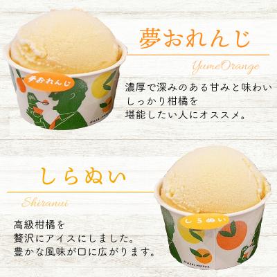 ふるさと納税 愛南町 みかん職人が作った柑橘カップアイス4種 14個 (夢