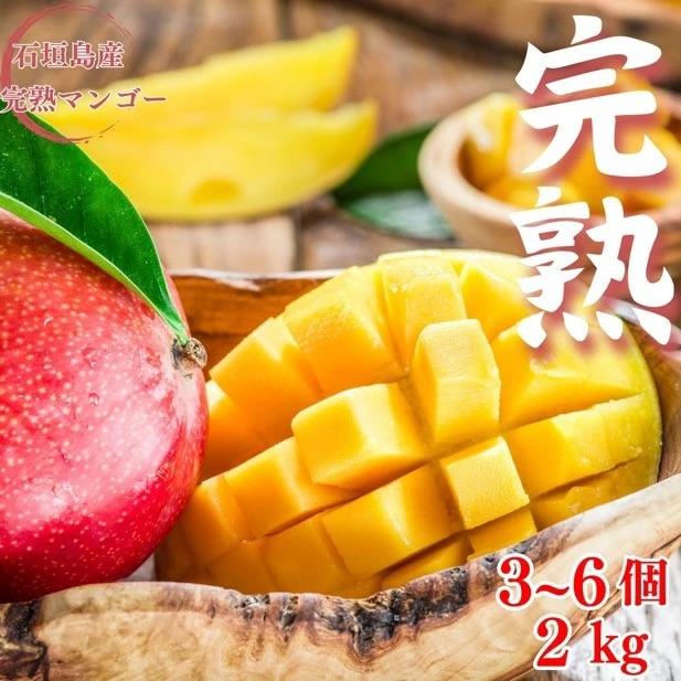 ふるさと納税 石垣市 <予約受付>[贈答用]完熟アップルマンゴー 3~6個 約2kg <2026年7月中旬以降発送>