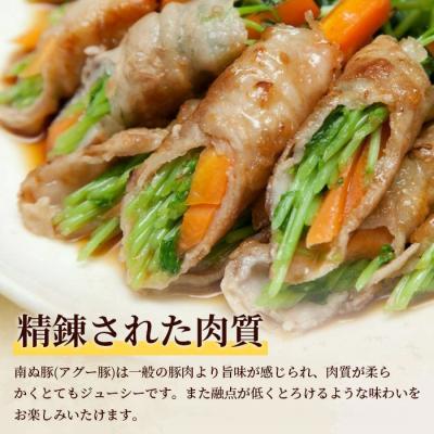 ふるさと納税 石垣市 南ぬ豚 切り落とし 1kg (250g×4) 自家用 |  | 01