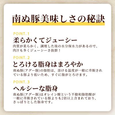 ふるさと納税 石垣市 南ぬ豚 切り落とし 1kg (250g×4) 自家用 |  | 02