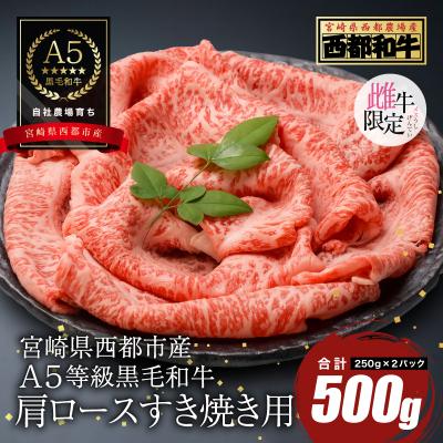 ふるさと納税 西都市 [A5等級黒毛和牛]肩ロースすき焼き(250g×2)宮崎県産 カミチクファーム[2703]