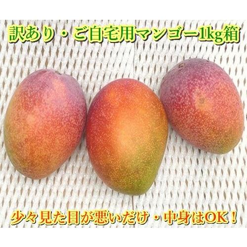 ふるさと納税 石垣市 <予約受付>[訳あり]完熟アップルマンゴー 2~4個 約1kg <2026年7月中旬以降発送>