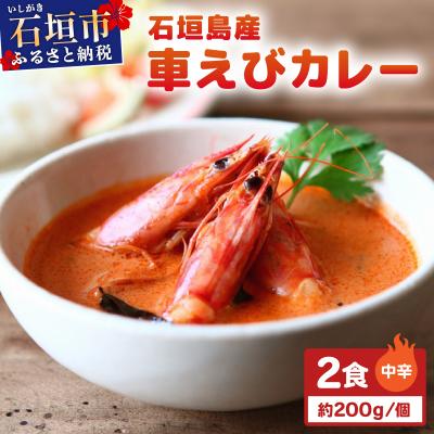 ふるさと納税 石垣市 石垣島産車えびカレー(中辛)[冷凍 2食]石垣島のカレー専門店が作るご当地カレー
