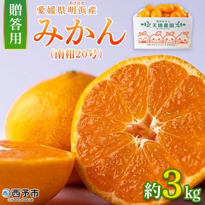 ふるさと納税 西予市 [先行受付]みかん(南柑20号)贈答用3kg みかん 愛媛 果物
