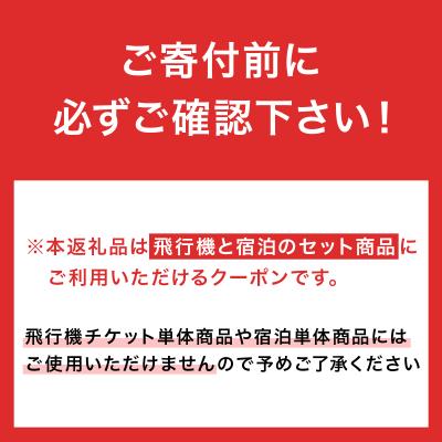 ふるさと納税 石垣市 石垣市に泊まるふるさと納税旅行クーポン【12,000円分】_1