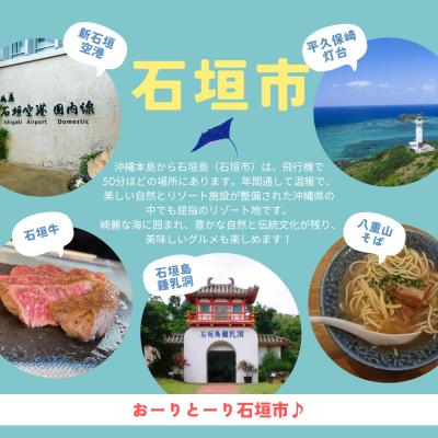 ふるさと納税 石垣市 石垣市に泊まるふるさと納税旅行クーポン【12,000円分】_3