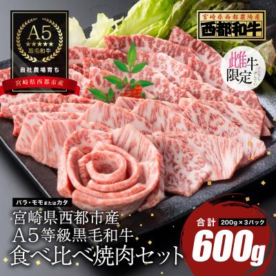 ふるさと納税 西都市 [A5等級黒毛和牛]食べ比べ焼肉(200g×3)宮崎県産 カミチクファーム[2707]