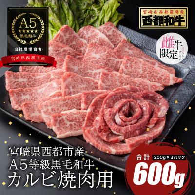 ふるさと納税 西都市 [A5等級黒毛和牛]カルビ焼肉(200g×3)宮崎県産 カミチクファーム[2708]