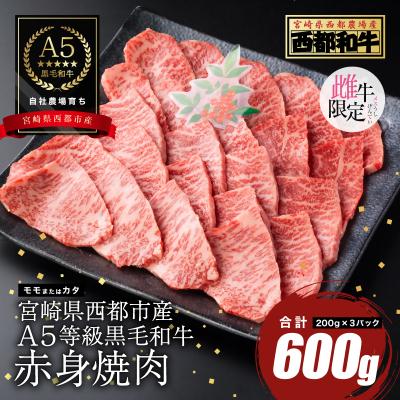 ふるさと納税 西都市 [A5等級黒毛和牛]赤身焼肉(200g×3)宮崎県産 カミチクファーム[2705]