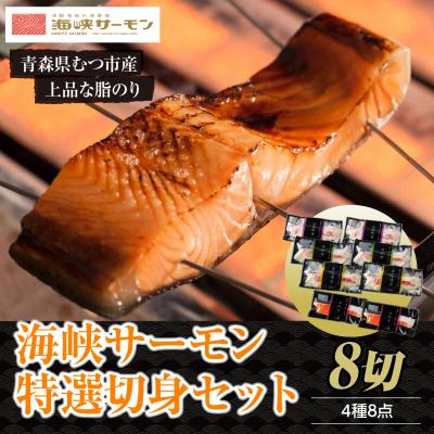 ふるさと納税 むつ市 [期間限定発送]海峡サーモン特選切身セット8切(4種8点)