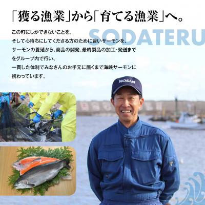 ふるさと納税 むつ市 【期間限定発送】海峡サーモン特選切身セット8切(4種8点)_2