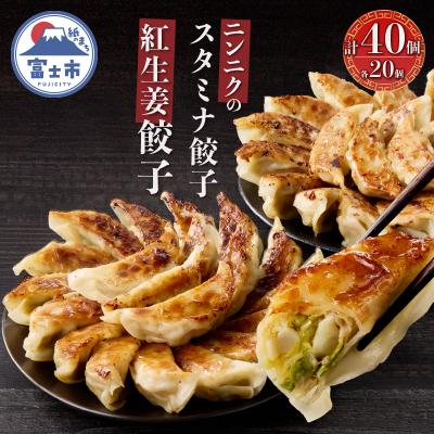 ふるさと納税 富士市 紅生姜餃子(20個)とニンニクのスタミナ餃子(20個) [sf001-221]