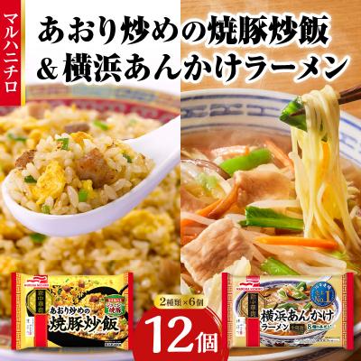 ふるさと納税 大江町 マルハニチロ 冷凍食品 あおり炒めの焼豚炒飯&amp;横浜あんかけラーメン詰合せセット 045-006
