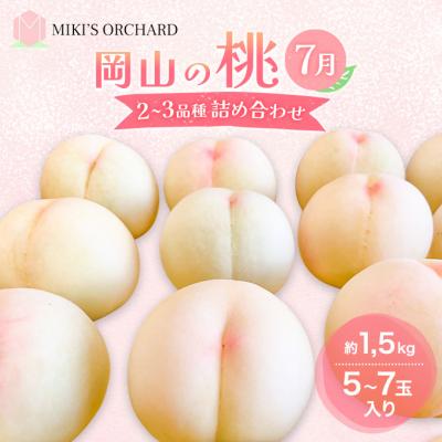 ふるさと納税 赤磐市 桃 [訳あり 2級品] 2026年 先行予約 7月の桃 詰め合わせ[NO5765-1245]