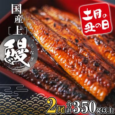 ふるさと納税 境町 【土用の丑の日までにお届け】 国産 うなぎ 蒲焼 2尾 350g以上 鰻 蒲焼き うなぎ蒲焼 丑の日 | 