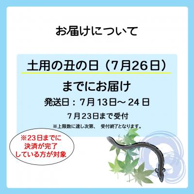 ふるさと納税 境町 【土用の丑の日までにお届け】 国産 うなぎ 蒲焼 2尾 350g以上 鰻 蒲焼き うなぎ蒲焼 丑の日 |  | 02