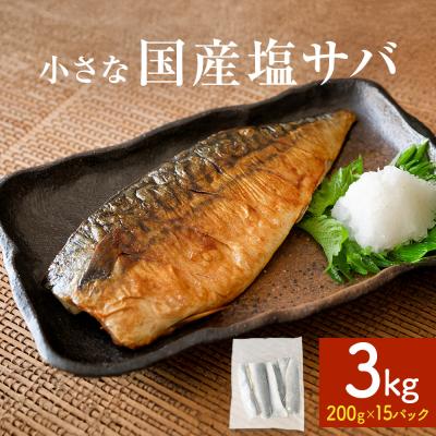 ふるさと納税 石巻市 小さな 国産 塩サバ 3kg ( 200g × 15パック ) 冷凍 サバ 鯖 魚 青魚 塩さば