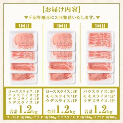 ふるさと納税 肝付町 肝付町セレクト定期便 《鹿児島県産豚肉しゃぶしゃぶセット》【全3回】　C05046 |  | 03