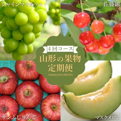 ふるさと納税 長井市 [2026年発送]果物定期便4回(佐藤錦/メロン/シャインマスカット/りんご)_H241(R8)