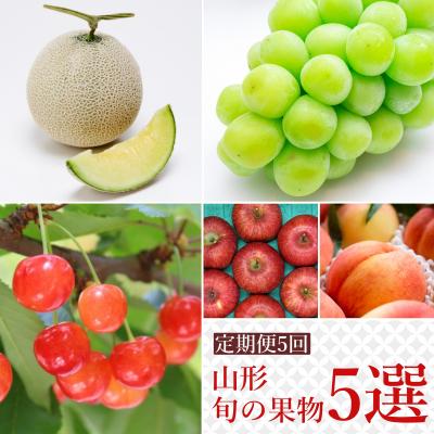 ふるさと納税 長井市 [2026年発送]果物定期便5回(佐藤錦/メロン/桃/シャインマスカット/りんご)_H243(R8)