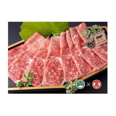 ふるさと納税 米子市 [皆生菊乃家]鳥取和牛 サーロインしゃぶしゃぶすき焼き用(大山ブランド会)