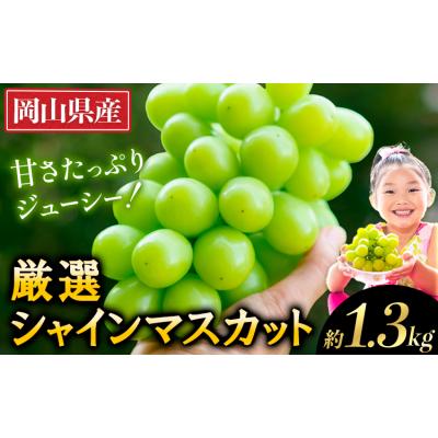 ふるさと納税 矢掛町 [2026年先行予約]厳選 シャインマスカット 約1.3kg [2026年9月上旬-11月中旬出荷]