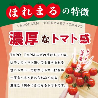 ふるさと納税 明和町 明和町産 完熟 トマト ほれまる 1kg |  | 01
