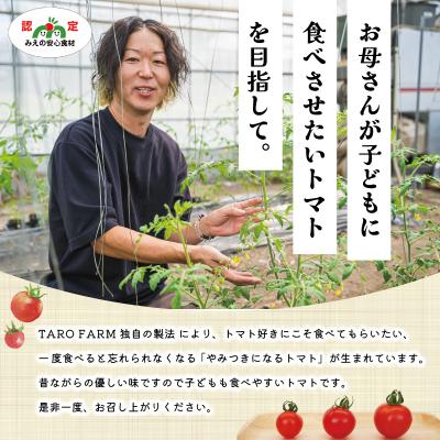 ふるさと納税 明和町 明和町産 完熟 トマト ほれまる 1kg |  | 03