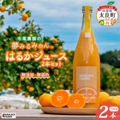 ふるさと納税 太良町 中尾農園の夢みるみかんはるかジュース2本セット