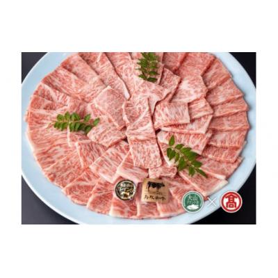 ふるさと納税 米子市 &lt;皆生菊乃家&gt;鳥取和牛 サーロイン焼肉用(大山ブランド会)