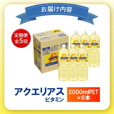 ふるさと納税 恵庭市 【定期便:全5回】アクエリアス ビタミン 2LPET×6本【380089】の画像