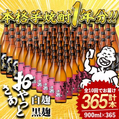 ふるさと納税 曽於市 [10回定期]おやっとさあ365本セット
