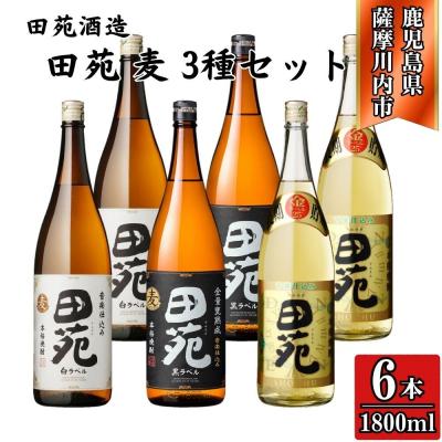 ふるさと納税 薩摩川内市 田苑 白・黒・金 麦焼酎 25度 1800ml×各2本(計6本) 田苑酒造 DSR-920