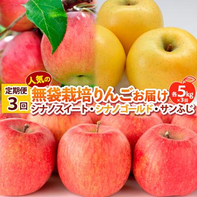 ふるさと納税 山形市 [定期便3回] 人気の無袋栽培りんごお届け 各5kg×3回[令和8年産]FS25-776