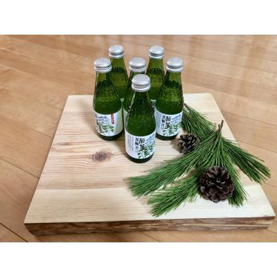 ふるさと納税 伊那市 信州高遠産赤松:松葉炭酸水180ml×6本(1箱)