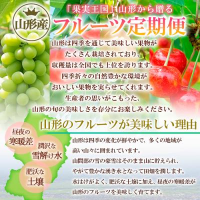 ふるさと納税 山形市 【定期便3回】☆フルーツ王国山形☆白桃・シャインマスカット・ラフランス FZ26-809_1