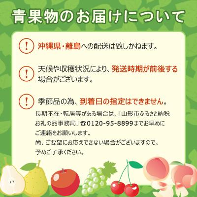 ふるさと納税 山形市 【定期便3回】☆フルーツ王国山形☆白桃・シャインマスカット・ラフランス FZ26-809_3