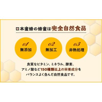 ふるさと納税 栃木市 日本蜜蜂のハチミツ100%!はちみつ1.2kgの画像