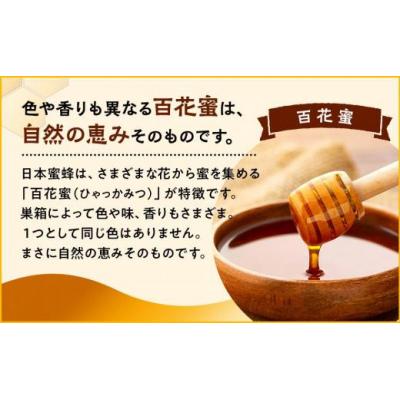 ふるさと納税 栃木市 日本蜜蜂のハチミツ100%!はちみつ(逆さ容器300g2本)の画像