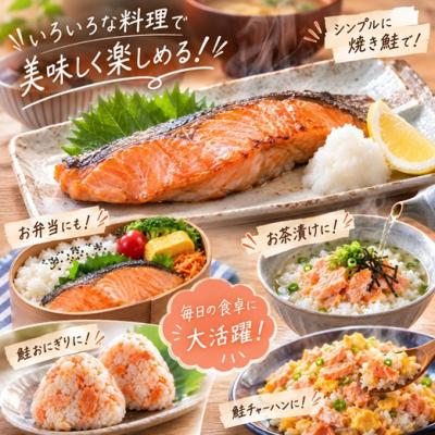 ふるさと納税 浦河町 【訳アリ】北海道日高産 秋鮭(甘塩)切身10切(個包装) [15-1467] |  | 01