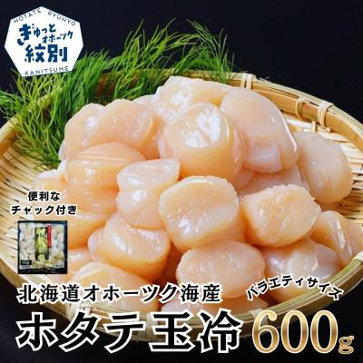ふるさと納税 紋別市 北海道オホーツク海産ホタテ玉冷バラエティサイズ(600g)| 訳あり サイズ不揃い 刺身用 | 
