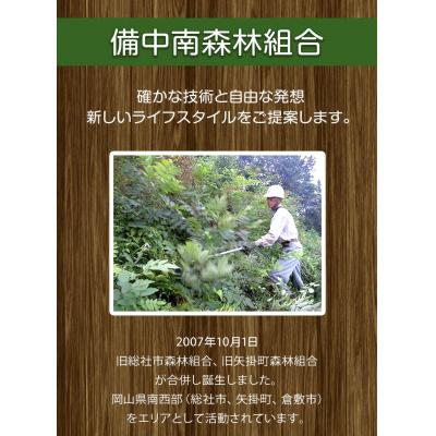 ふるさと納税 矢掛町 やかげの「原木乾燥しいたけ」300g 岡山県矢掛産《30日以内に出荷予定(土日祝除く)》の画像