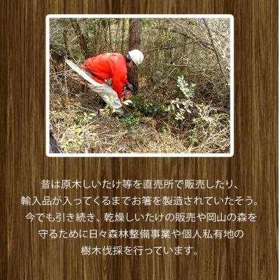 ふるさと納税 矢掛町 やかげの「原木乾燥しいたけ」300g 岡山県矢掛産《30日以内に出荷予定(土日祝除く)》の画像