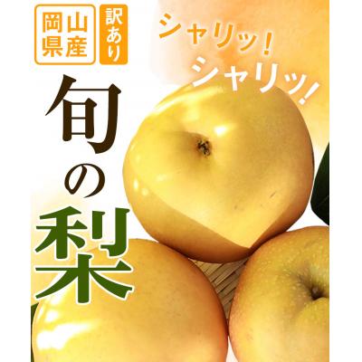 ふるさと納税 矢掛町 訳あり 旬の梨 約1.8kg2〜5玉前後 岡山県産 訳あり[9月上旬-1月末頃出荷]